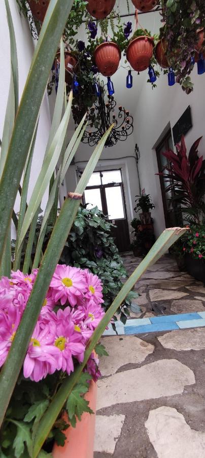 Отель El Jardin De La Abuela Керетаро Экстерьер фото